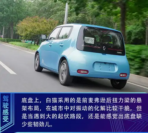  都市新萌宠抢先试驾欧拉白猫