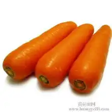  上海商用蔬菜清洗机简介图片什么牌子好-上海黄页88网