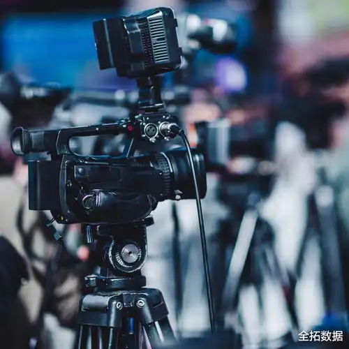  网剧产业步入流量战阶段,行业生态仍在不断改变