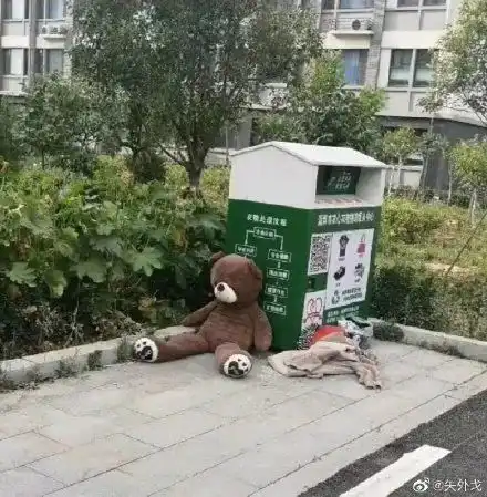  医学院被遗弃的小熊上热搜没想到背后的故事这么暖