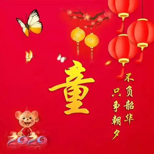  2020只争朝夕不负韶华微信头像图片