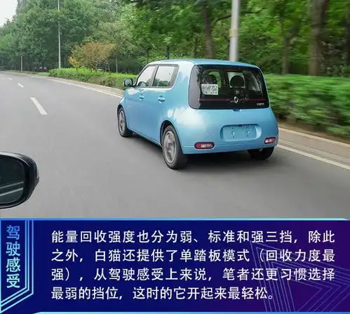  都市新萌宠抢先试驾欧拉白猫