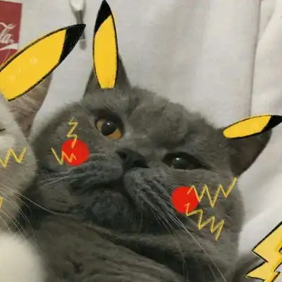  林知晚微信可爱萌宠猫猫头像