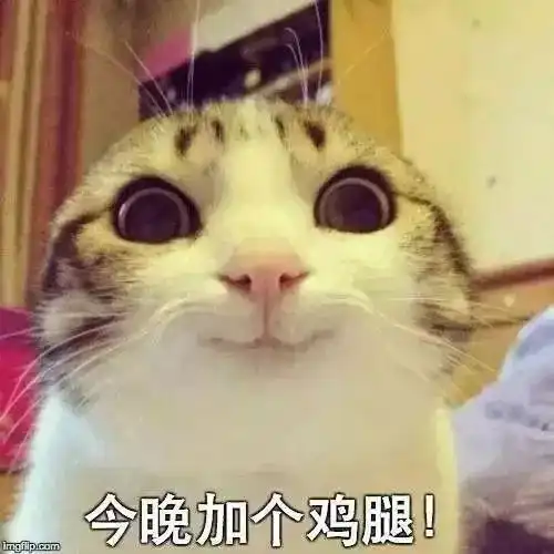  轻松一刻程序员写代码时的各种内心戏