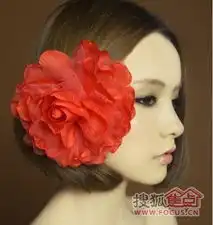  亿达春田图片