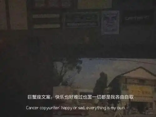  十二星座的专属文案句子1.0