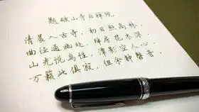  写乐大型21k还历ef尖把笔杆笔帽换成了国人制作的大漆杆