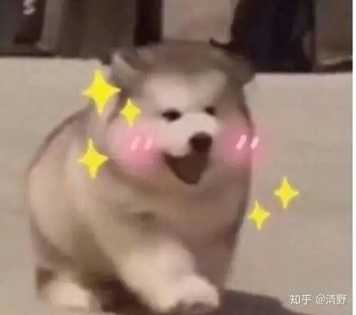  河南省国家励志奖学金到底什么时候发啊