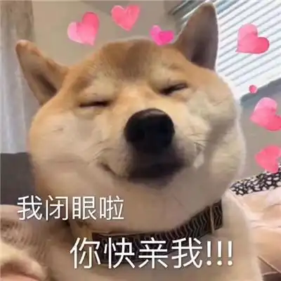小柴犬微信头像