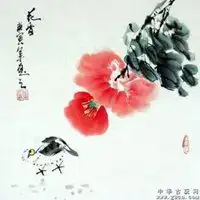  微信头像风景或花草鸟
