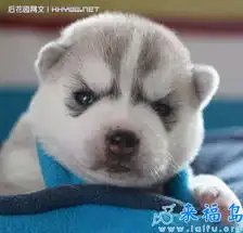  人气排行笑话大全第5551页
