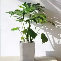  新房装修您家怎样治理甲醛5种方法让甲醛无所遁形