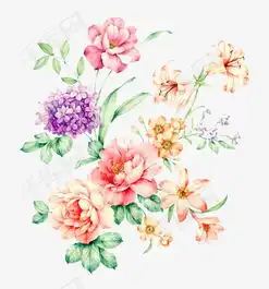  手绘花卉素材图片免费下载高清装饰图案png千库网图片编号2375173