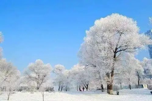  买1送1,这处世遗秘境下雪了,离广州那么近,人均1千,高铁就能去
