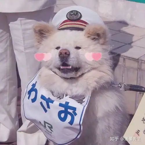  男朋友太上进了我该怎么办