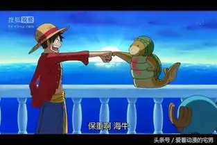 秒杀乌索普碾压乔巴,如果当初上了路飞的船,现在悬赏金肯定过亿
