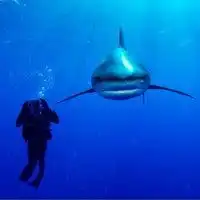  蓝色梦幻微信头像