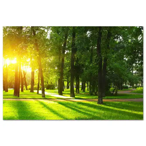  森林公园草地装饰画风景墙贴画树林阳光小路壁画自粘绿色书房挂画