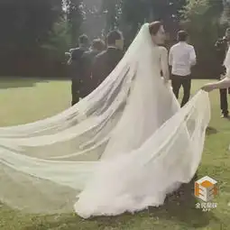  李小冉与徐佳宁比利时大婚朱丹等现身组图