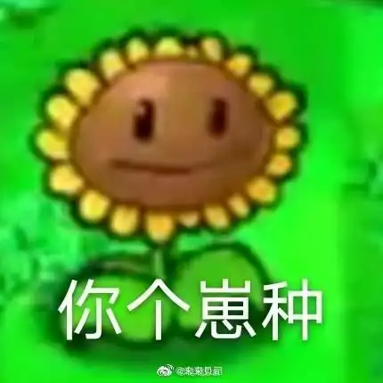  如果你是虐文中的沙雕女主,你会怎么办