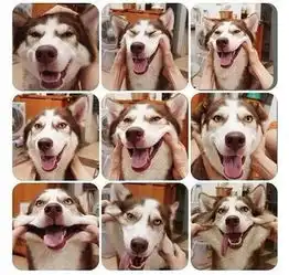  狼图腾的拍摄地太美了,一起去玩儿吧