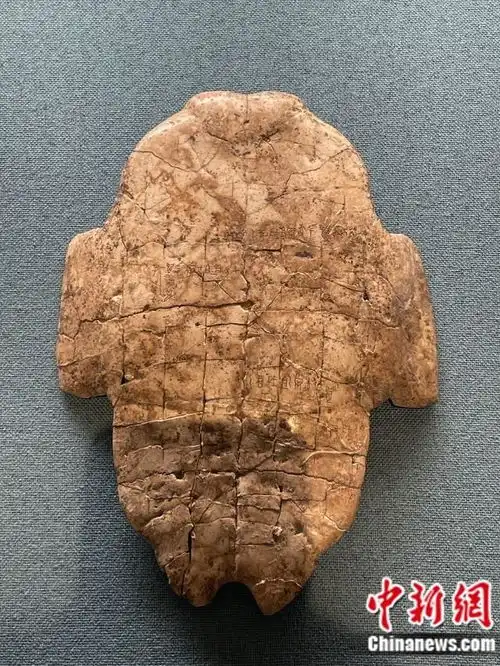  进校园数字化,冷门绝学如何热起来
