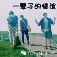  这个视频,兄弟一定要看