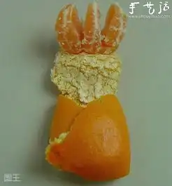 橘子皮搞笑创意手工