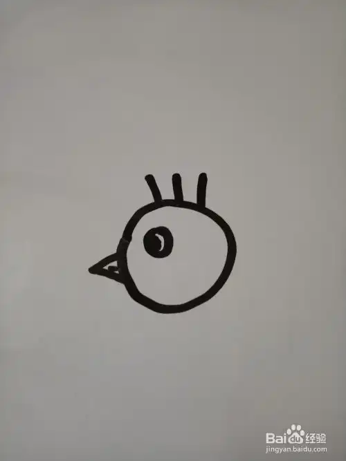 动物头像简笔画孔雀归巢