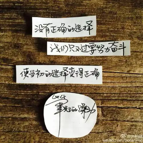  井柏然越努力越幸运