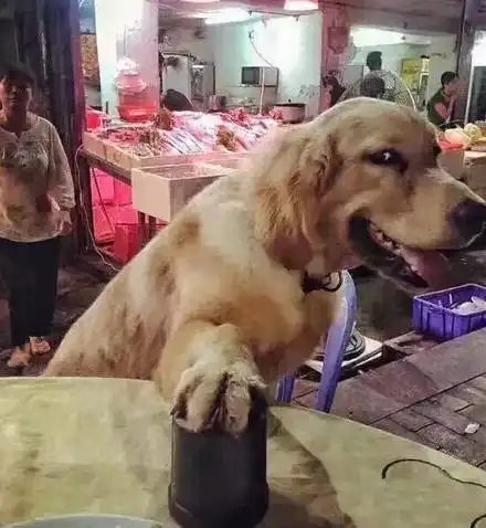  搞笑gif段子老师教你什么是撩妹