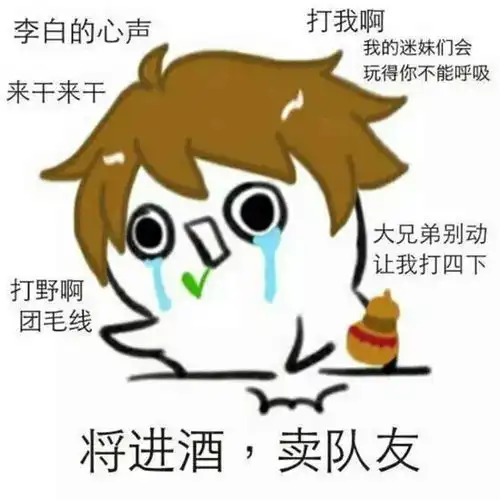  王者荣耀如果不是她,奕星就是我的