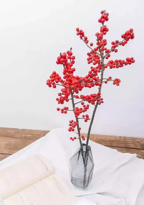  春节装饰用这些花,新年好运连连