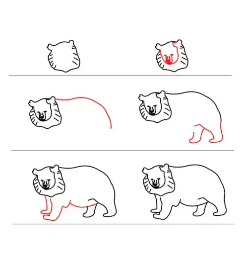  每天学一幅简笔画超实用动物简笔画大全步骤图50张动物详细步骤画法教程图片