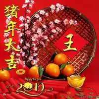 2019新年可爱微信头像2019新年可爱微信头像图片