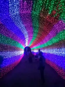  虎门沙角炮台海滨游乐园梦幻灯光节2400张门票免费送送送