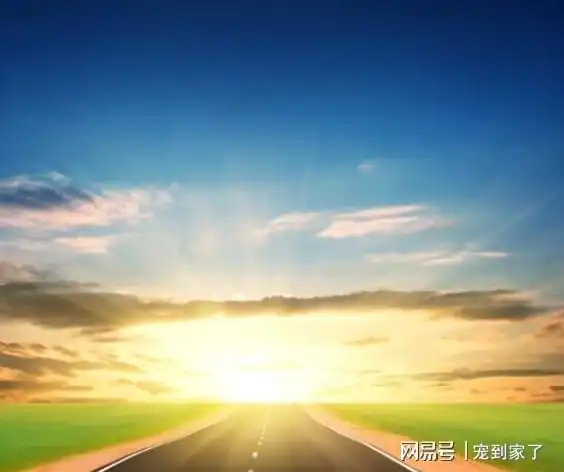  到底富豪们命中都有哪些神秘的东西