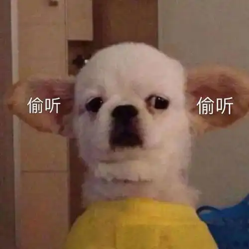  微胖千万不要这样穿显胖又老土,尤其第1种