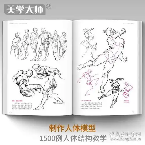  美学大师2020新书黄金版伯里曼人体结构绘画教学人物速写入门书豪文化
