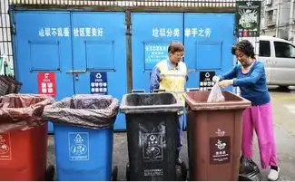  真南倒我了继垃圾分类之后,这个城市主街道要取消垃圾桶