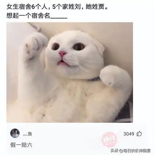  你们管操场上这个叫什么