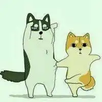  马嘉祺微信头像柴犬微信头像图片大全