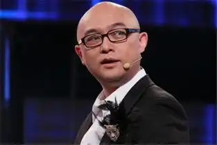  孟非的本色