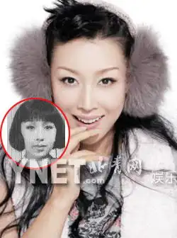  杨幂章子怡李冰冰最全女明星证件照曝光