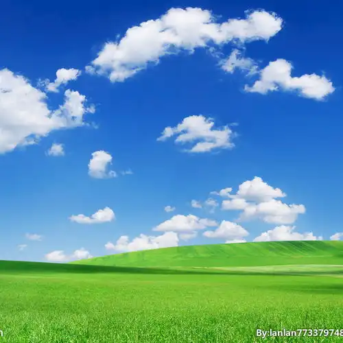  简洁每日打卡计划表格百度文库