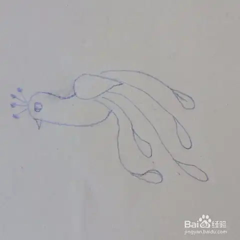  儿童简笔画小孔雀