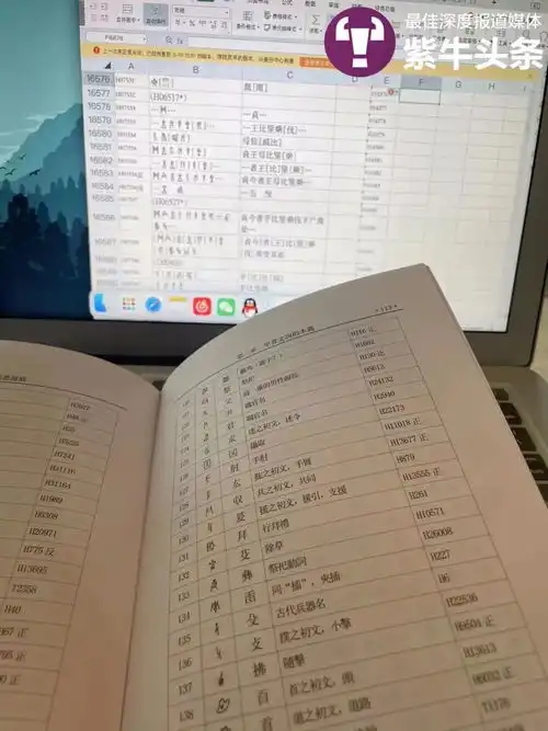  全网最冷门专业女孩创业,用甲骨文讲述商朝故事