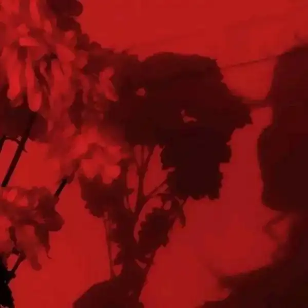  红色系头像没有什么原因,就是突然的难过