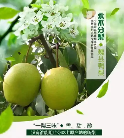  有礼团购倒计时12h商学院特惠双12全年杂志团购,与您真心真意永不分梨
