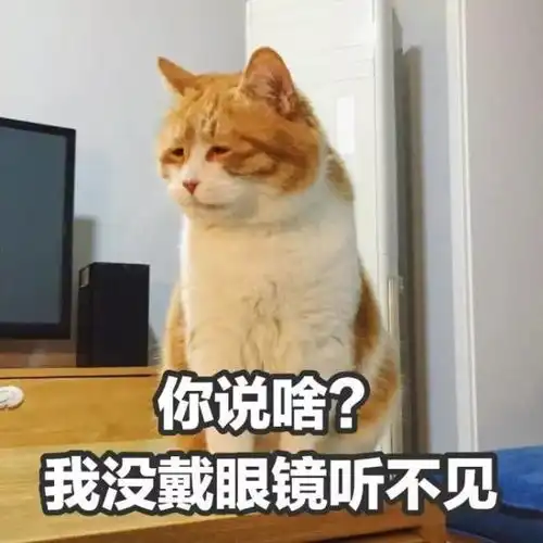  文案不毒舌我不信
